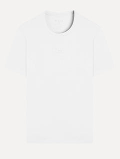 Camiseta Ellus Masculina Regular Cotton Fine Gothic Center Logo Cinza Claro