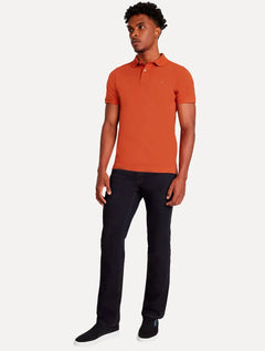 Polo Aramis Masculina Basic Piquet Terracota