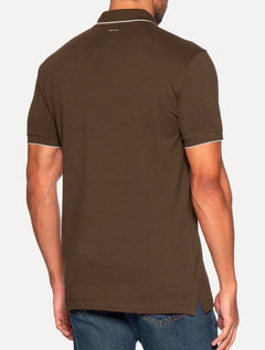 Polo Aramis Masculina Regular Piquet Off Friso Marrom Escuro