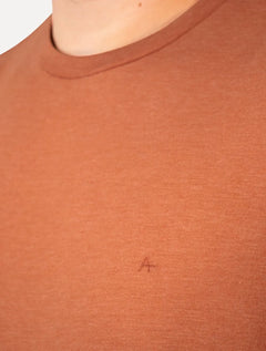 Camiseta Aramis Masculina Basic Lisa Mono Icon Terracota Mescla