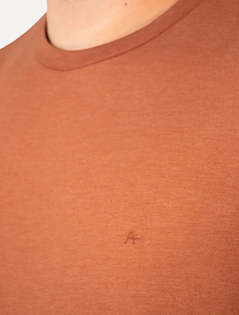 Camiseta Aramis Masculina Basic Lisa Mono Icon Terracota Mescla