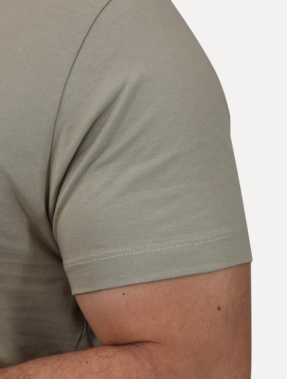 Camiseta Aramis Masculina Basic Lisa Mono Icon Cáqui Médio