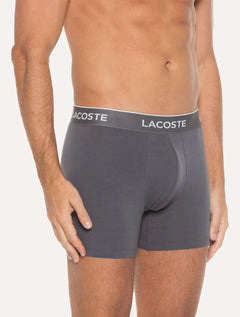 Cuecas Lacoste Boxer Long Colored Lettered Waist Cinza Pack 3UN