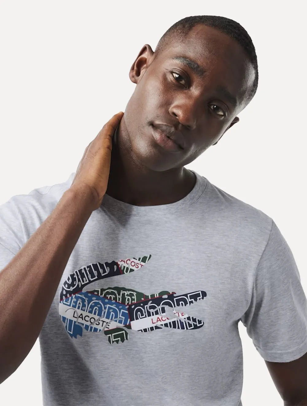 Camiseta Lacoste Masculina Sport Cotton Jersey Logo Cinza Mescla