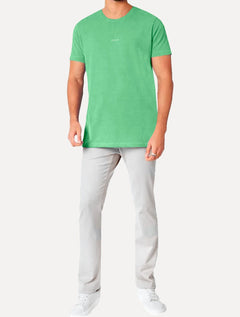 Camiseta Aramis Masculina Estampa Costas Barcode Cacto Verde Mescla