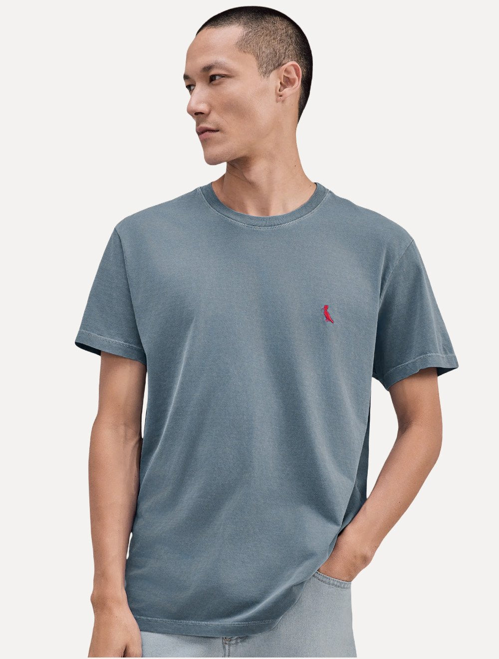 Camiseta Reserva Masculina Basic Red Woodpecker Stoned Azul Marinho