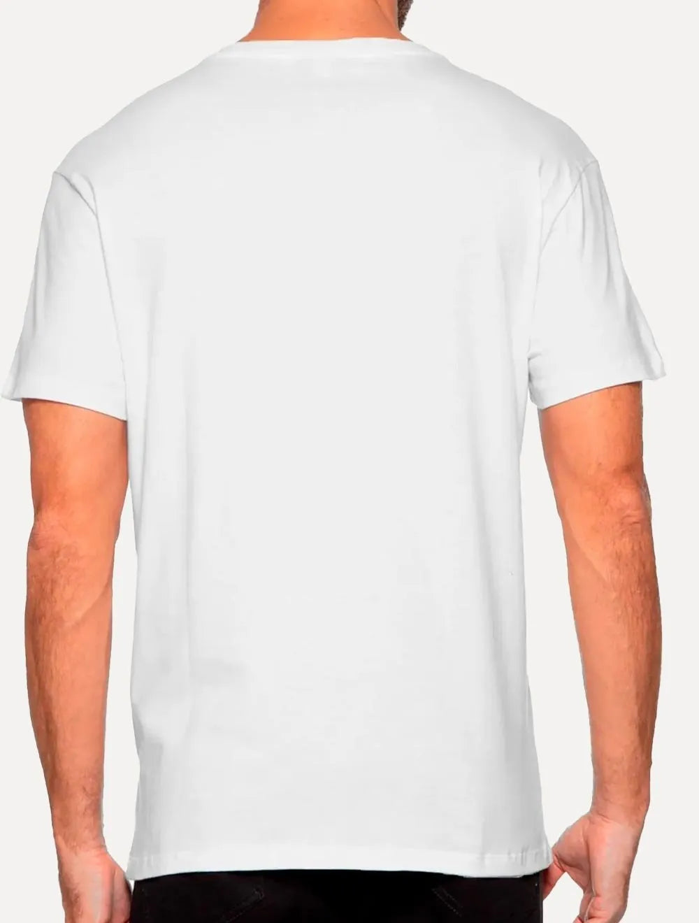 Camiseta Reserva Masculina V-Neck Vento Icon Branca