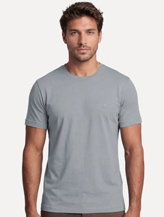 Camiseta Aramis Masculina Basic Lisa Mono Icon Chumbo