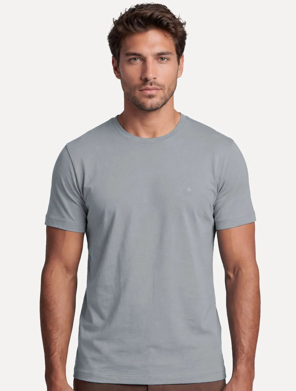 Camiseta Aramis Masculina Basic Lisa Mono Icon Chumbo