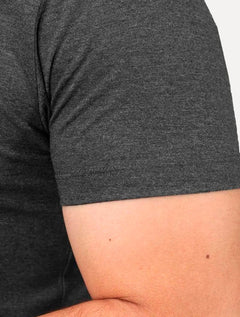 Camiseta Aramis Masculina Basic Lisa Dark Icon Cinza Mescla