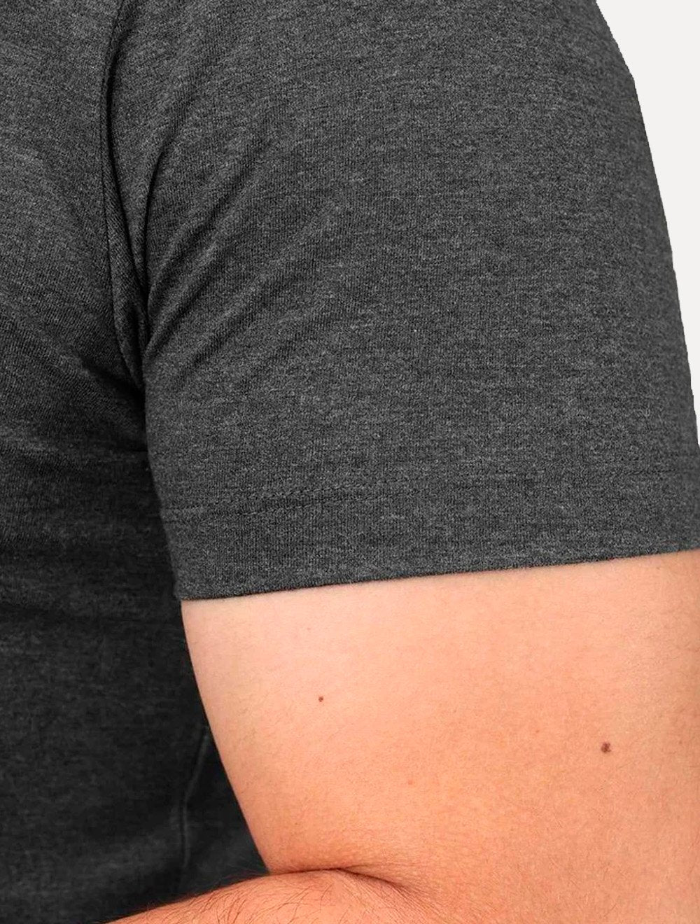 Camiseta Aramis Masculina Basic Lisa Dark Icon Cinza Mescla