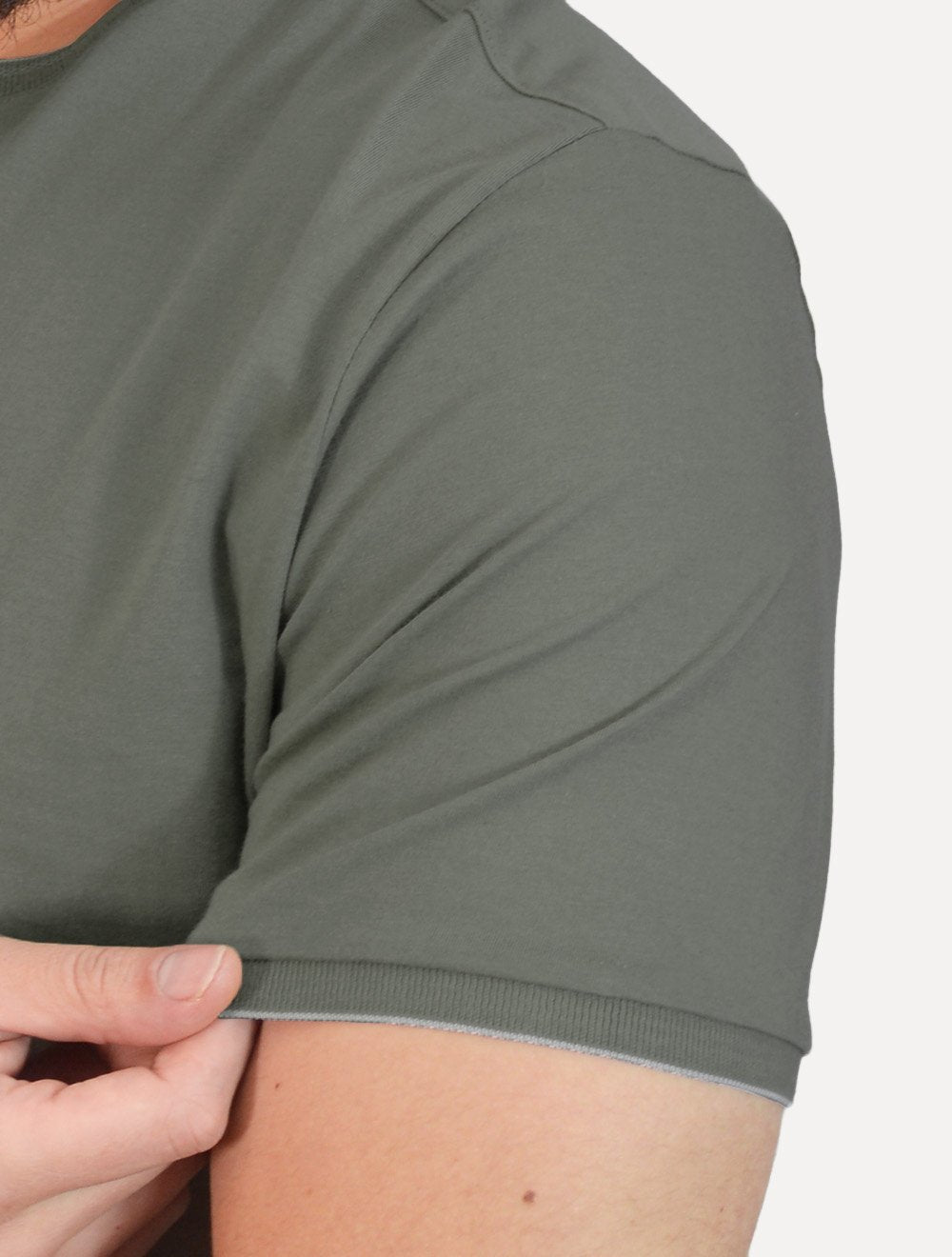 Camiseta Aramis Masculina Grey Friso Gola Logo Verde Opaco