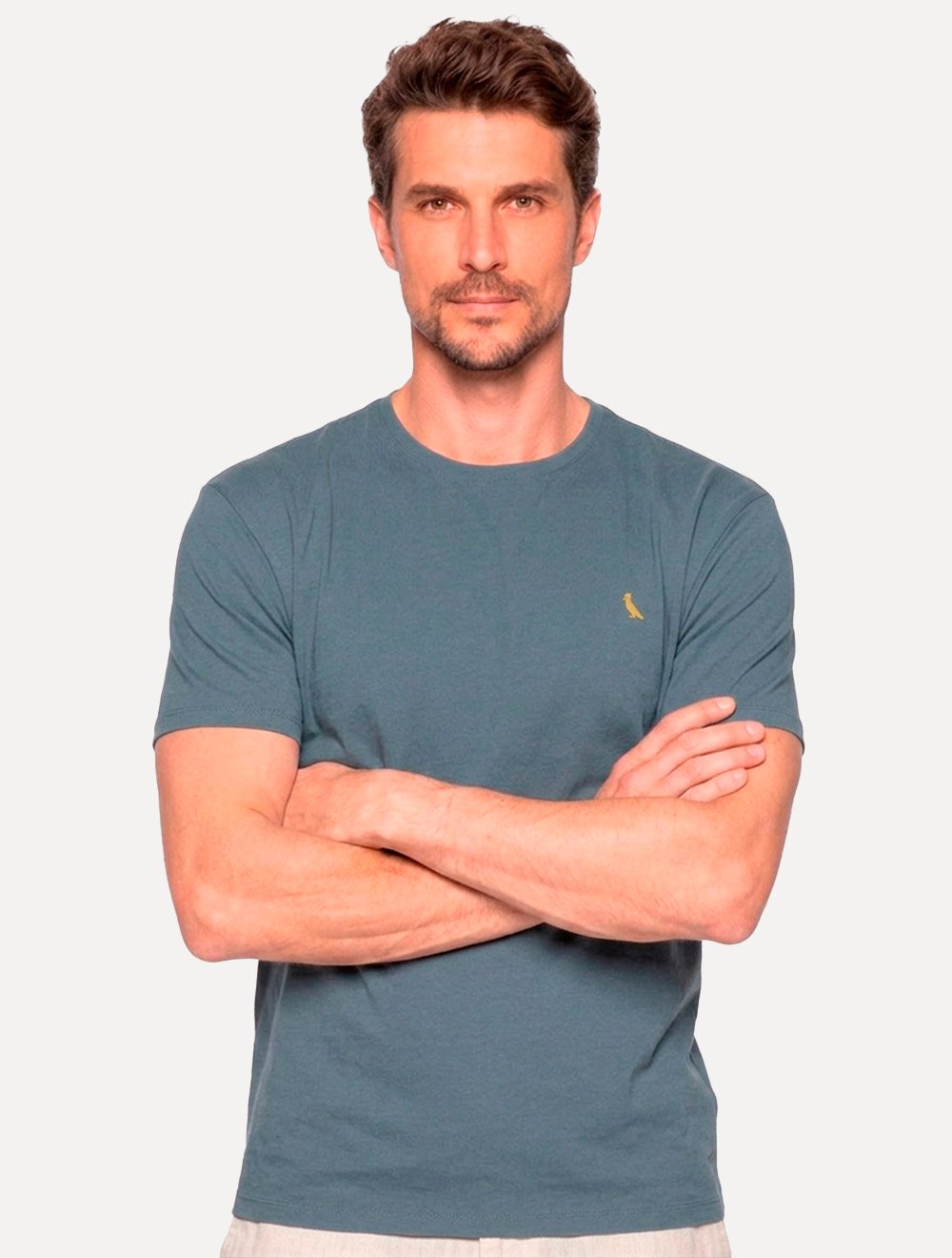 Camiseta Reserva Masculina Basic Yellow Woodpecker Stoned Azul Escuro