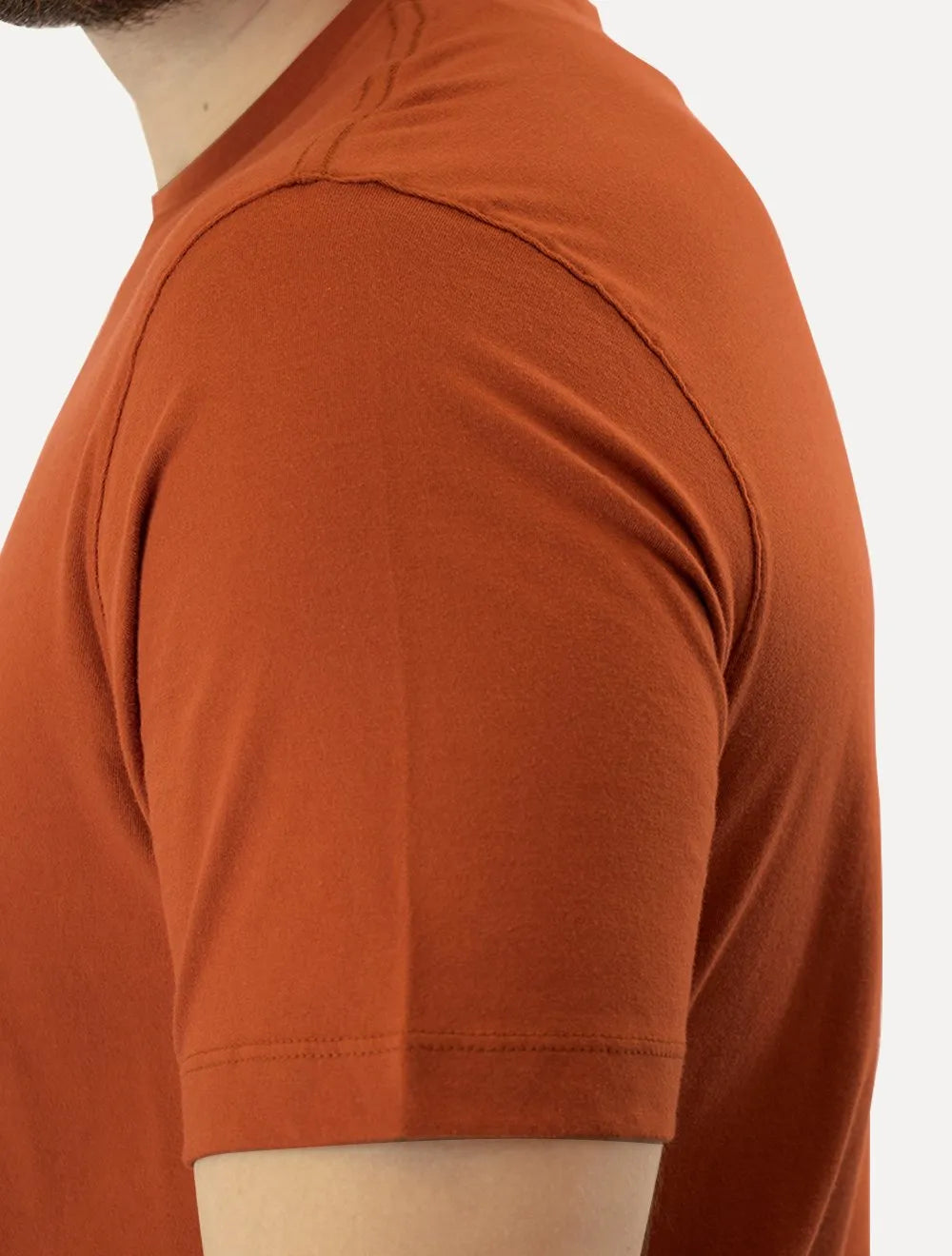 Camiseta Aramis Masculina Basic Lisa Terracota