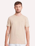 Camiseta Aramis Masculina Estampa Costas Gradiente Cáqui