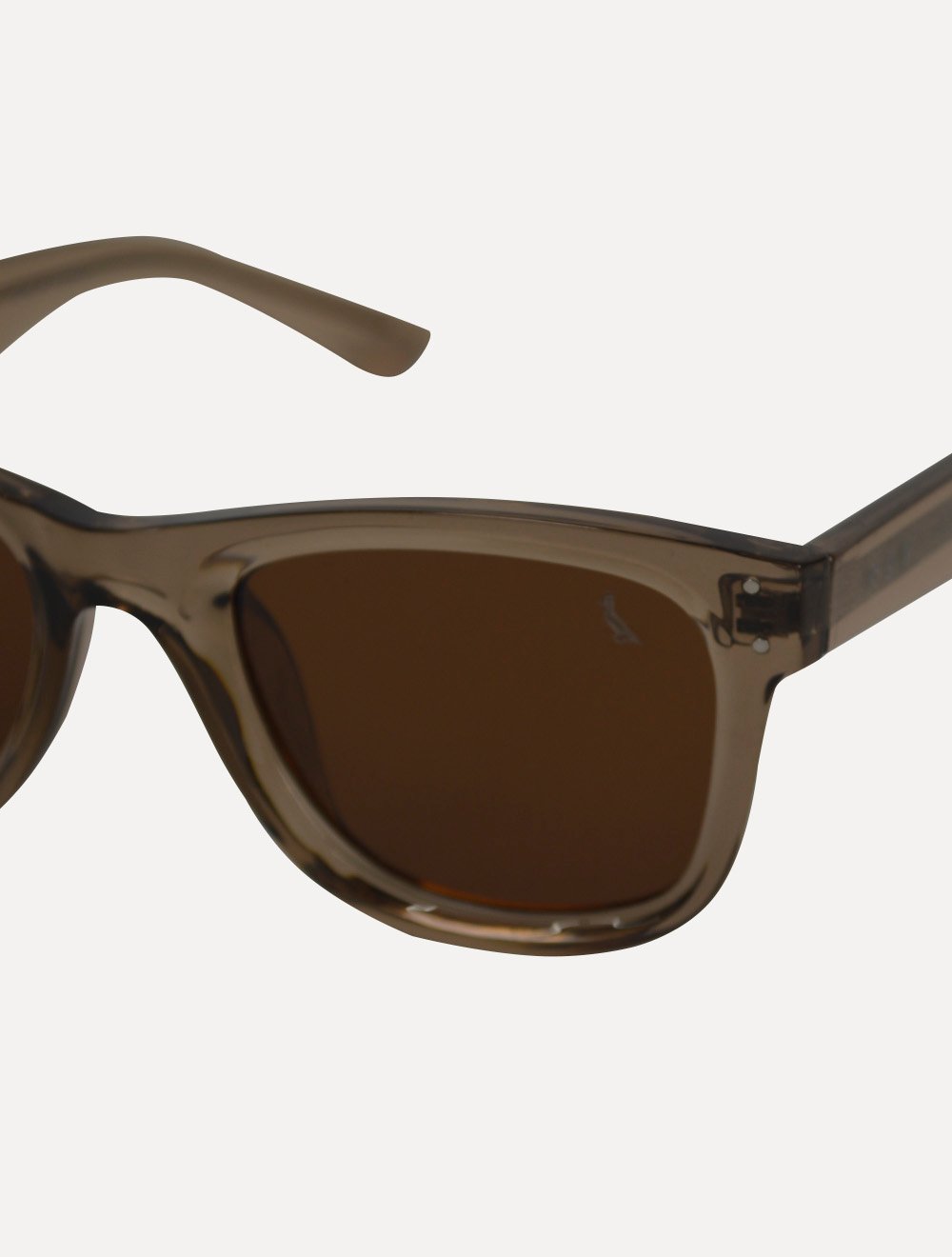 Óculos de Sol Reserva Masculino Wayfarer Brown Lens Marrom