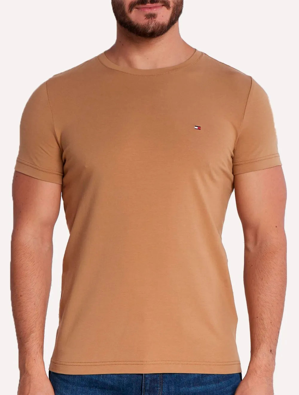 Camiseta Tommy Hilfiger Masculina Essential Cotton Cáqui