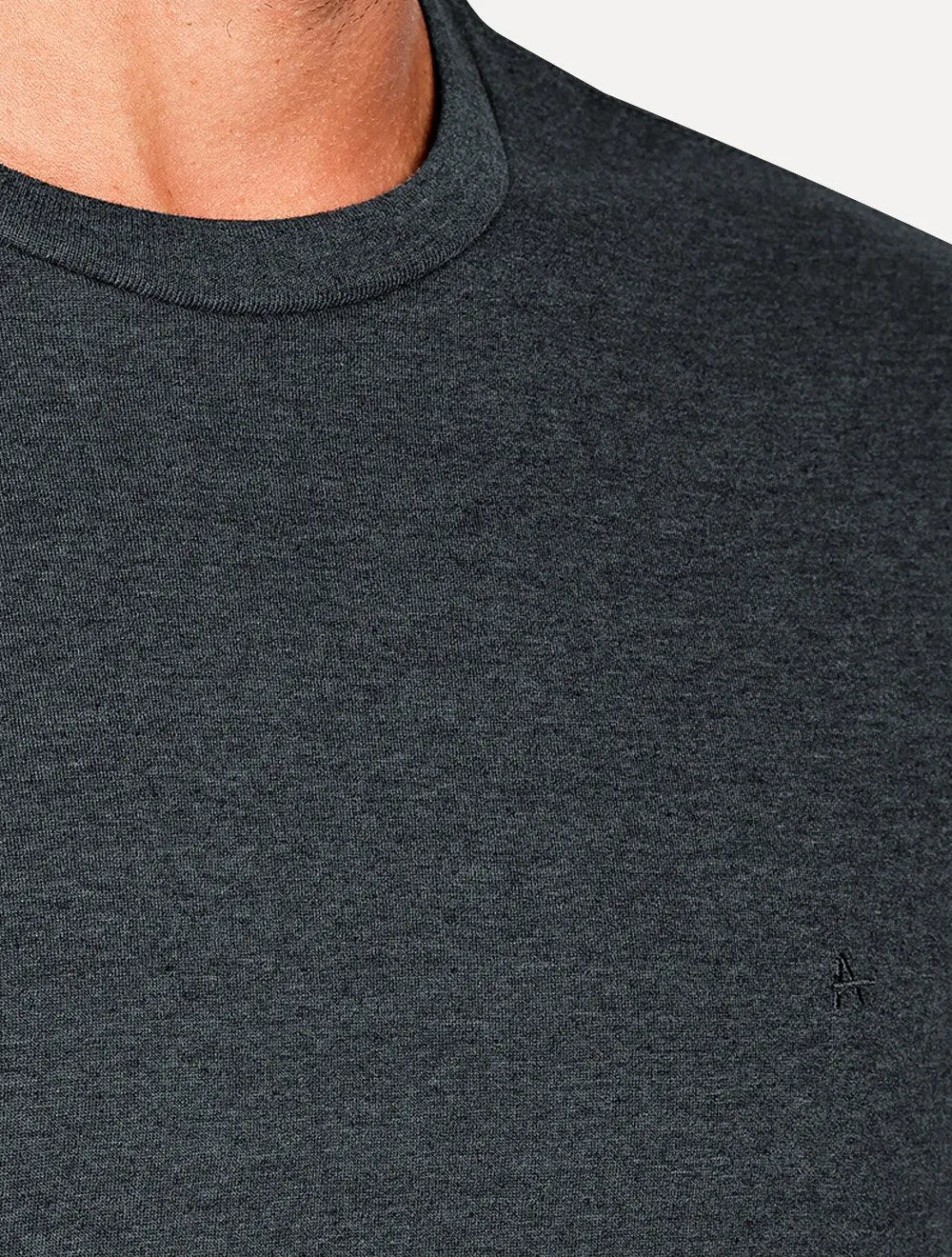Camiseta Aramis Masculina Basic Lisa Mono Icon Azul Marinho Mescla
