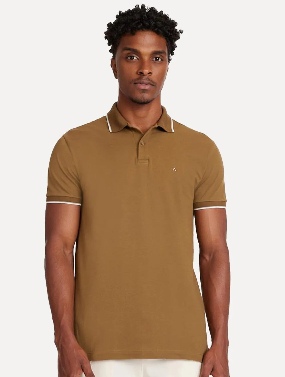 Polo Aramis Masculina Piquet Stripes Collar Tipped Verde Militar