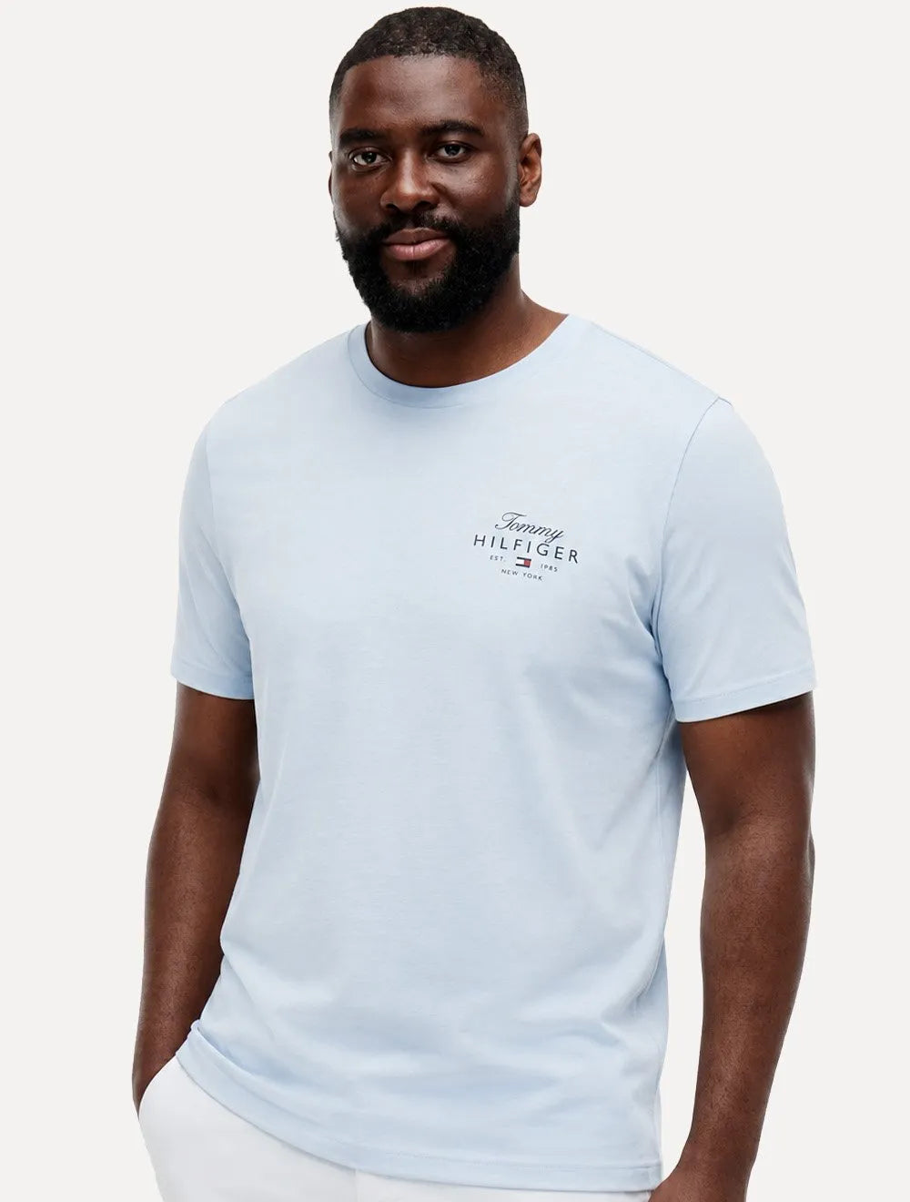 Camiseta Tommy Hilfiger Masculina Brand Love Signature Logo Azul