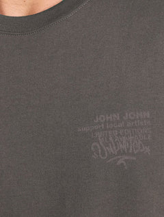 Camiseta John John Masculina Box Local Artists Cinza Escuro