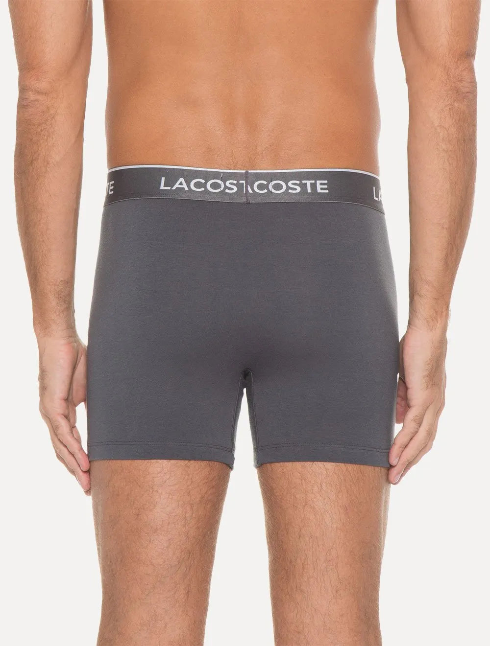 Cuecas Lacoste Boxer Long Colored Lettered Waist Cinza Pack 3UN