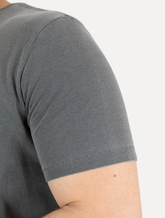 Camiseta Calvin Klein Jeans Masculina Skied Back Frame Chumbo