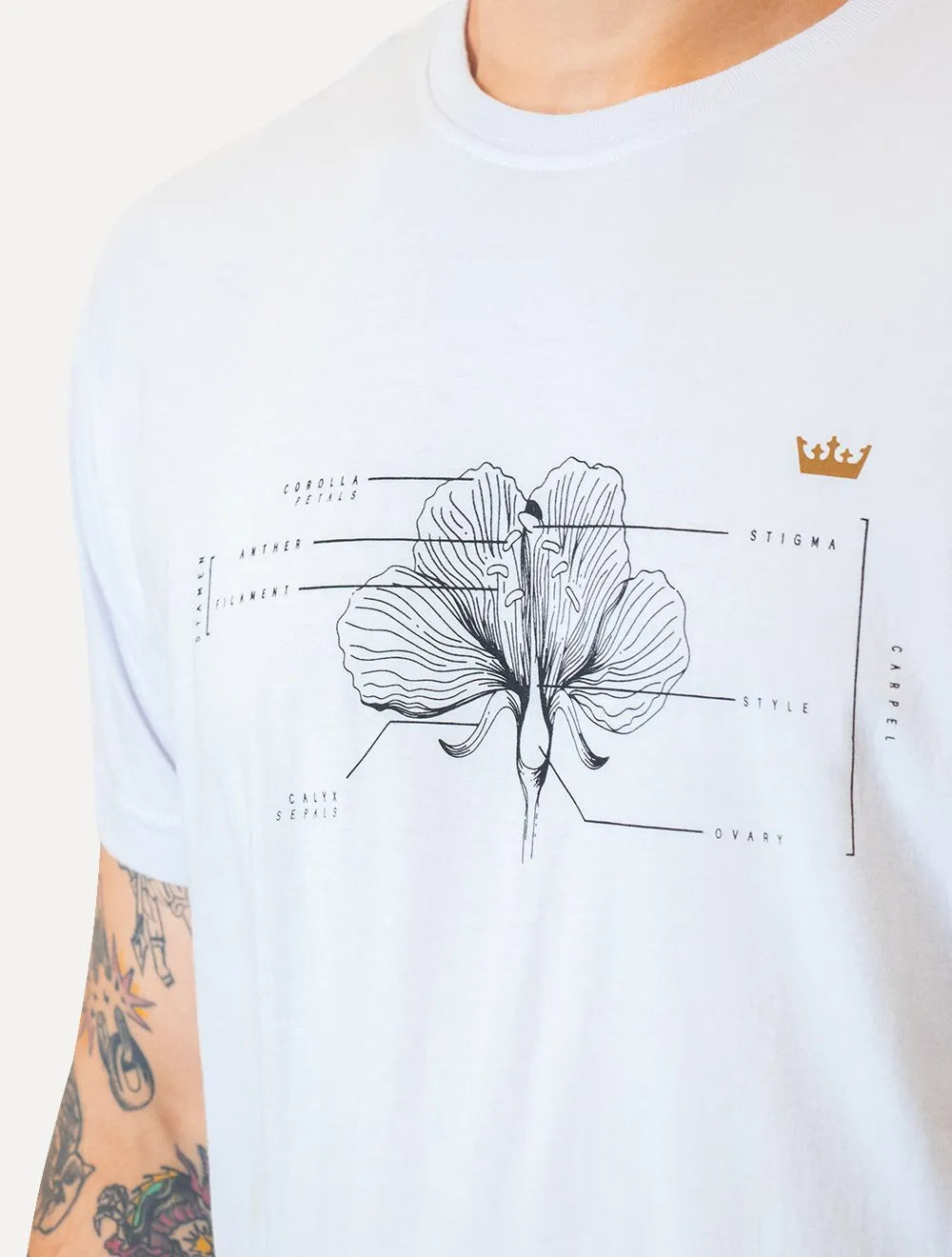 Camiseta Osklen Masculina Regular Stone Flower Parts Branca