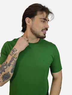 Camiseta Aramis Masculina Basic Lisa Mono Icon Verde Bandeira
