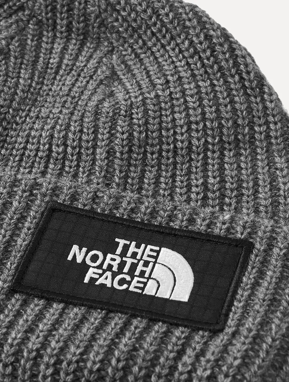 Gorro/Touca The North Face Masculino Salty Lined Beanie Cinza