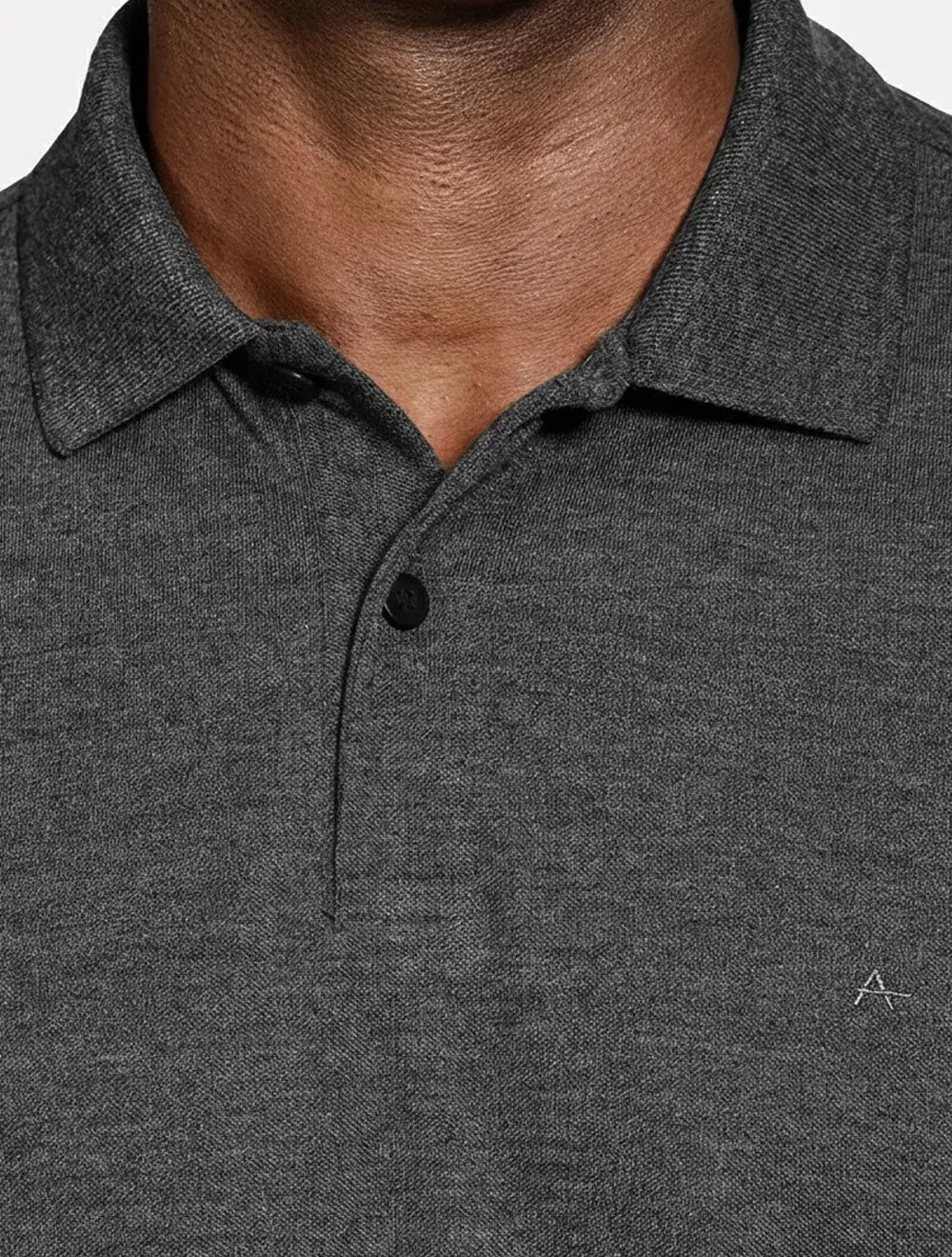Polo Aramis Masculina Piquet Basic Mono Icon Grafite Mescla