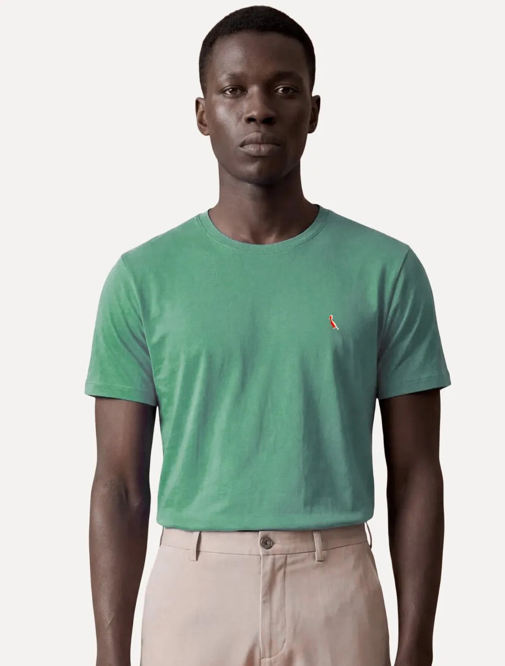 Camiseta Reserva Masculina Basic Red Woodpecker Stoned Verde Escuro