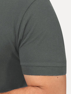 Polo Aramis Masculina Regular Basic Piquet Surton Mono Logo Verde Médio
