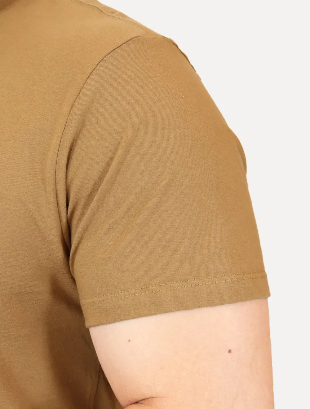 Camiseta Reserva Masculina Basic Woodpecker Marrom