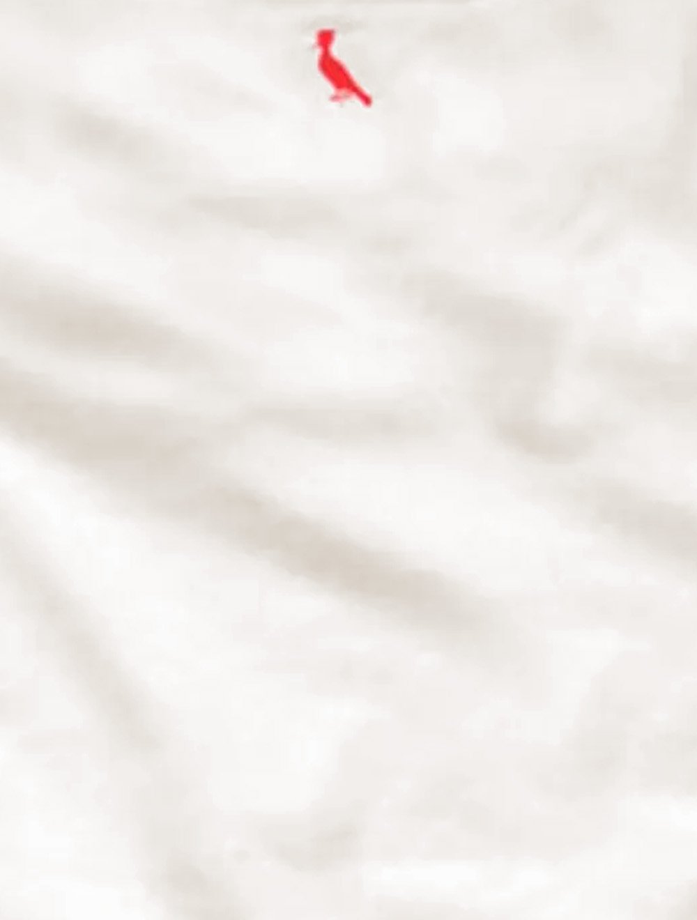 Camiseta Reserva Masculina Regular Greenk QR Code Off White