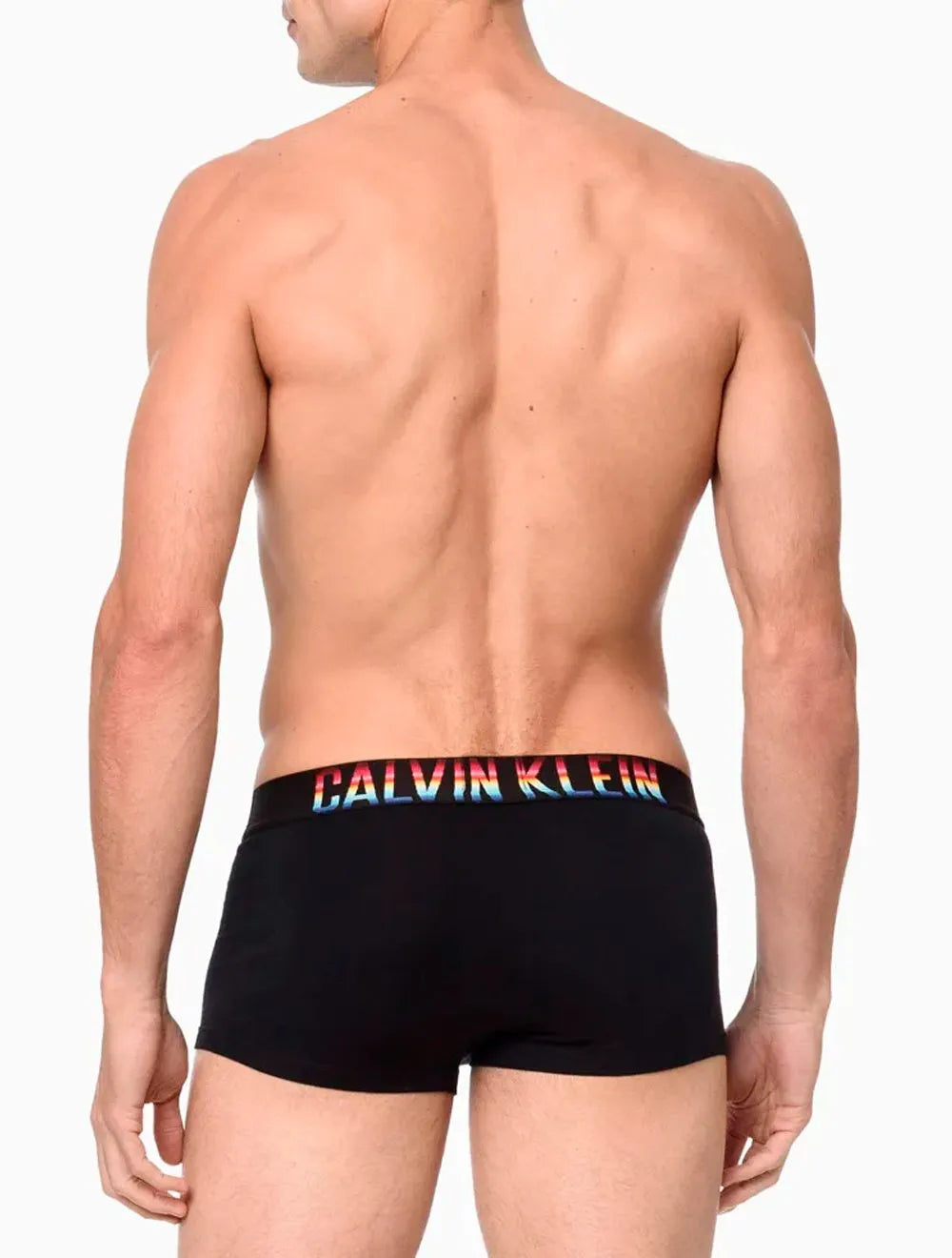 Cueca Calvin Klein Low Rise Trunk Cotton CK Pride Preta 1UN