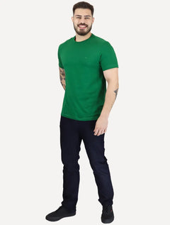 Camiseta Aramis Masculina Basic Lisa Mono Icon Verde
