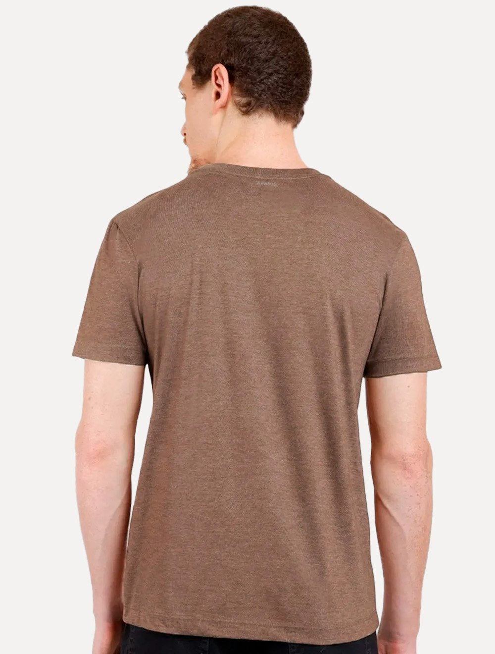Camiseta Aramis Masculina Eco Lisa Light Icon Marrom Mescla