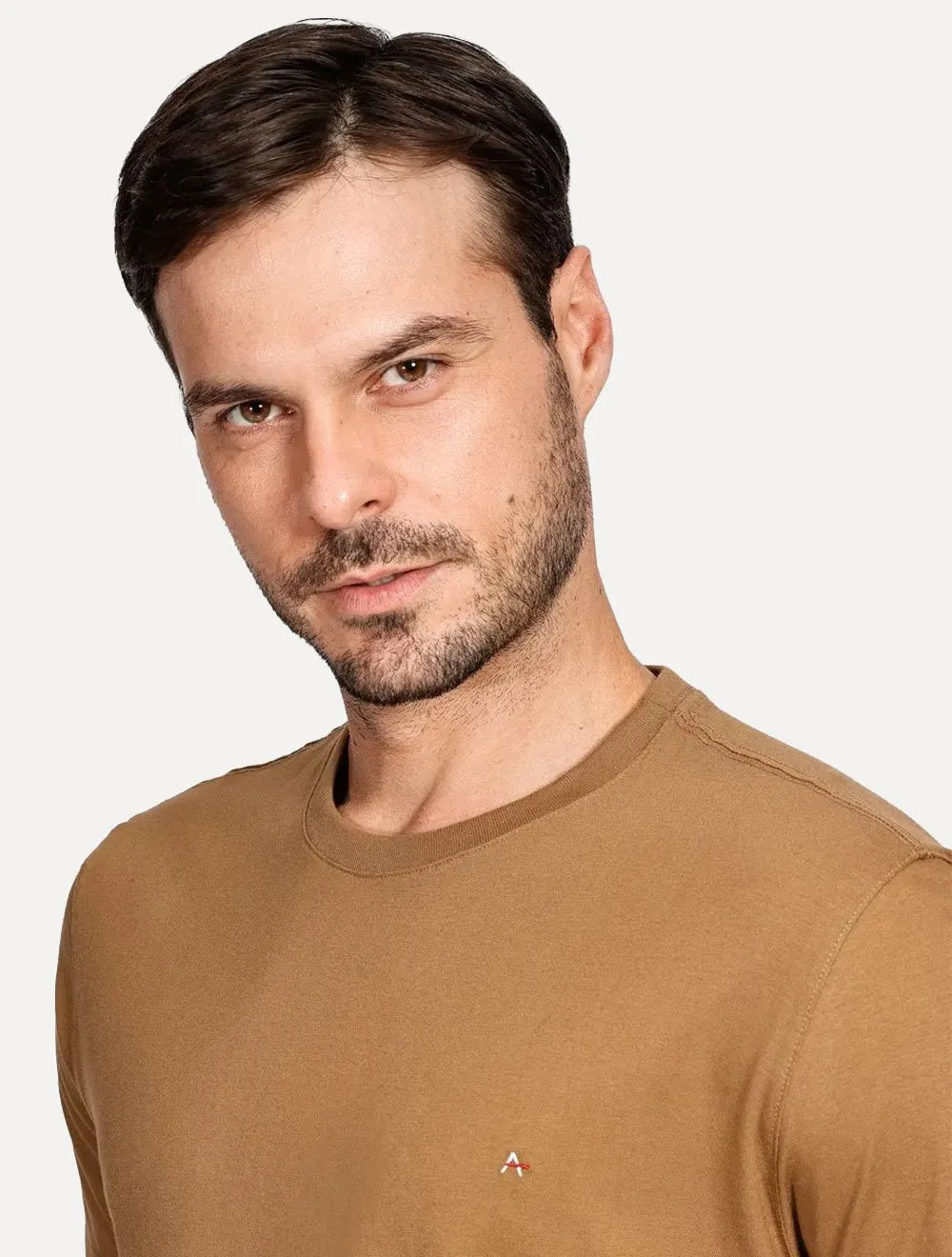Camiseta Aramis Masculina Basic Lisa Marrom Mascavo