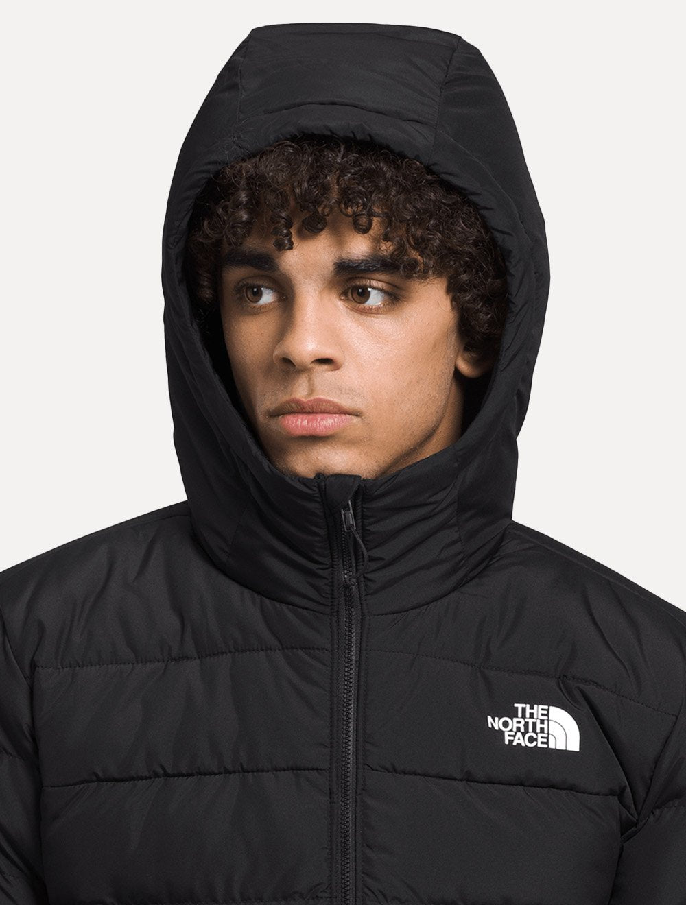 Jaqueta The North Face Masculina Aconcágua 3 Com Capuz TNF Preto