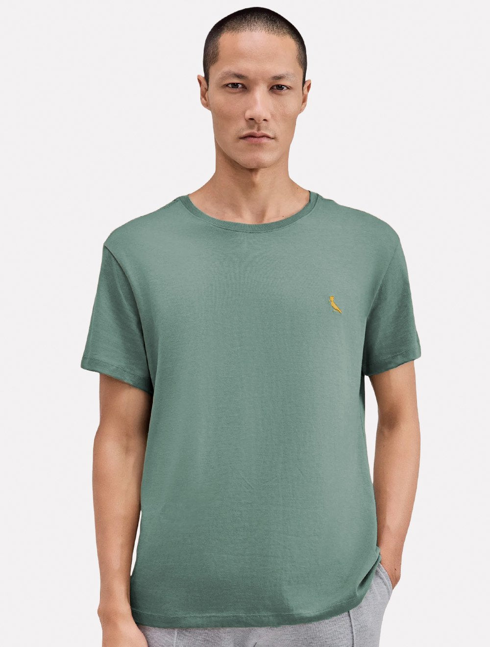 Camiseta Reserva Masculina Basic Yellow Woodpecker Stoned Verde