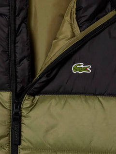 Jaqueta Lacoste Masculina Hoodie Water-Repellent Quilted Puffer Verde Escuro