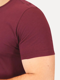 Camiseta Guess Masculina Bordado Peito Bordô