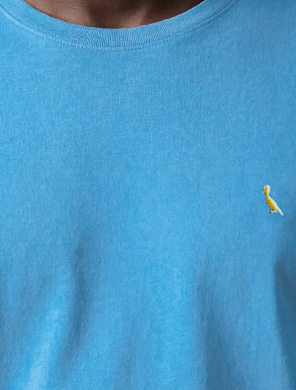 Camiseta Reserva Masculina Basic Yellow Woodpecker Stoned Azul