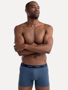 Cueca Mash Boxer Cotton Basic Azul