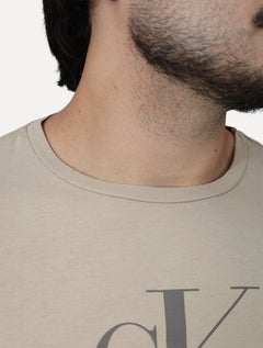Camiseta Calvin Klein Jeans Masculina New Re Issue Frontal Cáqui Claro