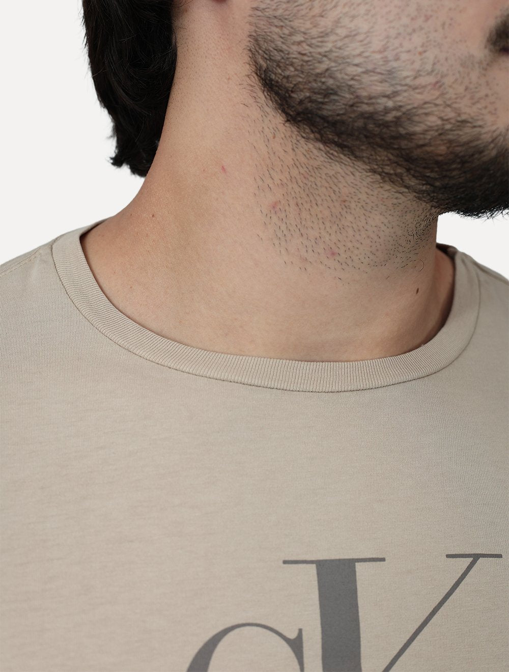 Camiseta Calvin Klein Jeans Masculina New Re Issue Frontal Cáqui Claro