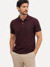 Polo Aramis Masculina Basic Piquet Mono Bordeaux Bordô Escuro