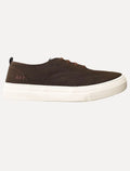 Tênis Aeropostale Masculino Casual Lona Baixo A87 Bordado Marrom Café