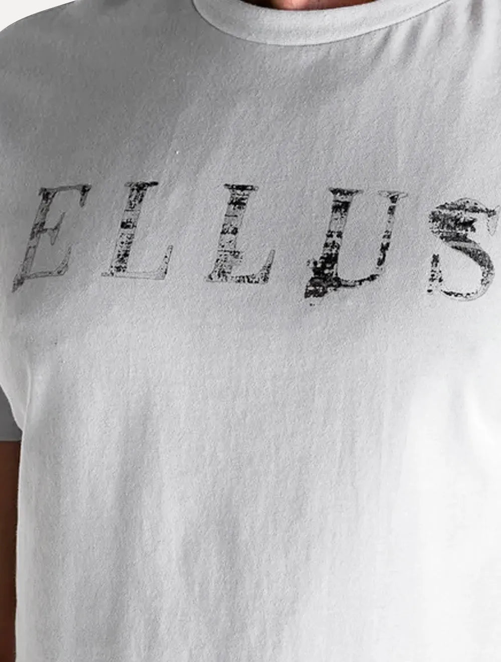 Camiseta Ellus Masculina Basic Blur Foil Cinza Claro